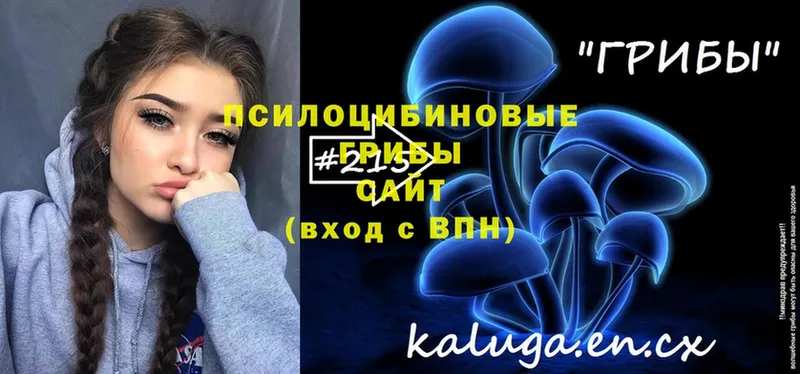 Псилоцибиновые грибы прущие грибы  ссылка на мегу как зайти  Бородино 